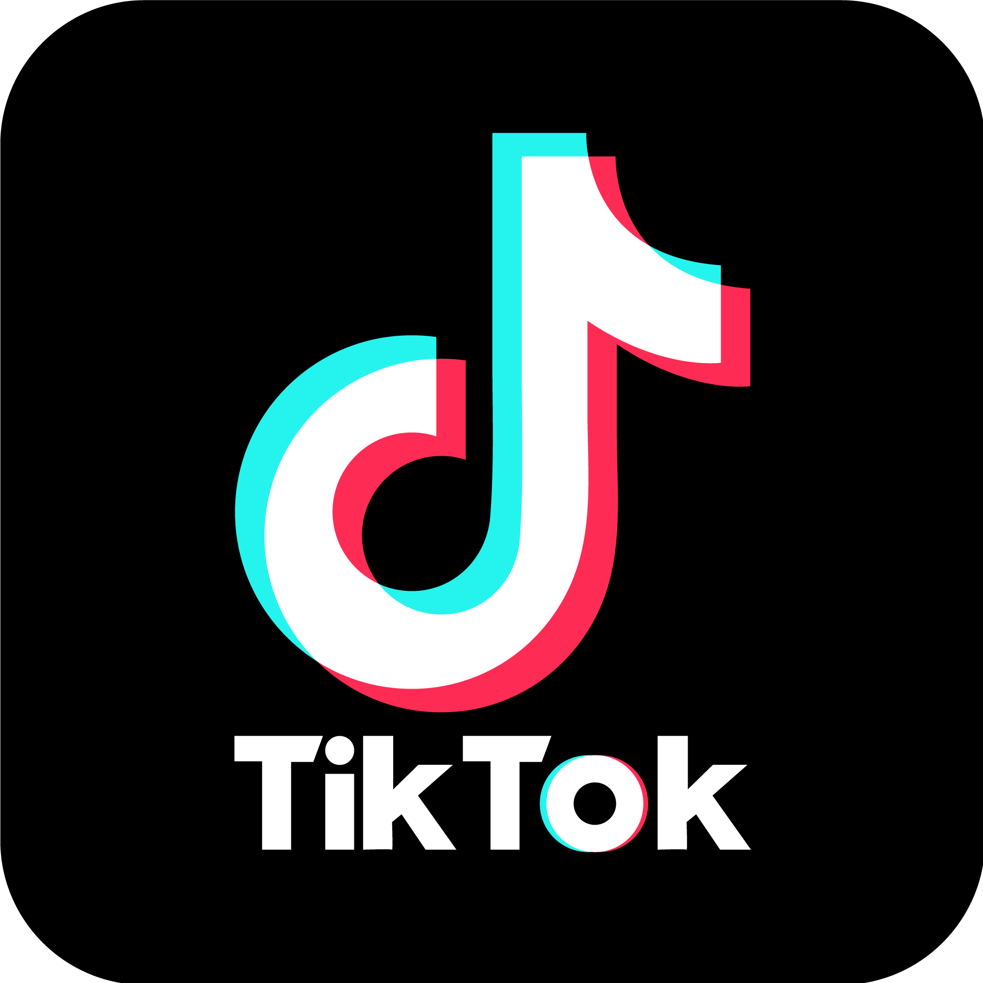 TikTok Logo